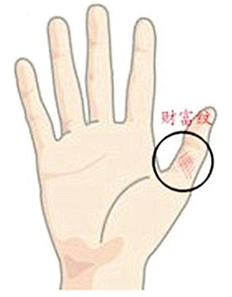 陰陽紋 大拇指第一指節紋路